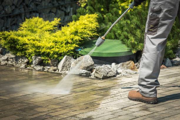 Best Warehouse Cleaning  in Lakeshire, MO